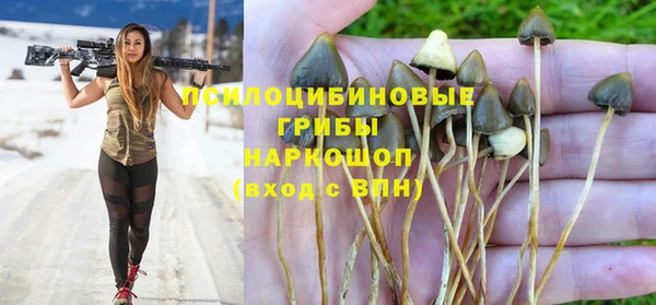 винт Беломорск