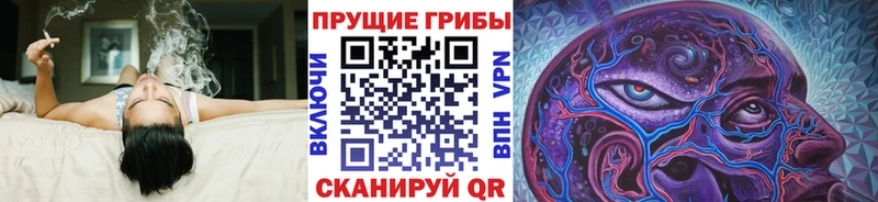 даркнет сайт  Можайск  Галлюциногенные грибы мицелий 